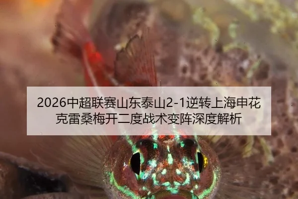 zhong-chao-lian-sai-shan-dong-tai-shan-ni-zhuan-shang-hai-shen-hua-ke-lei-sang-mei-kai-er-du-zhan-shu-bian-zhen-shen-du-2-449.jpg