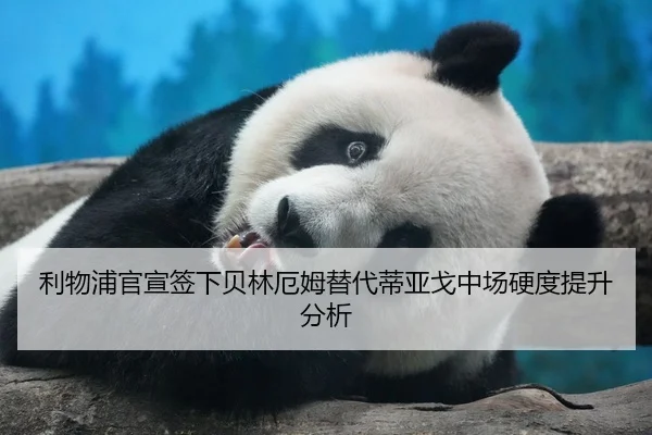 利物浦官宣签下贝林厄姆替代蒂亚戈中场硬度提升分析