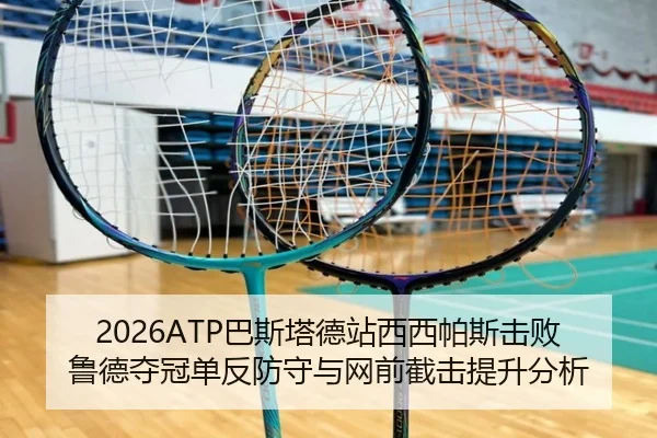 ba-si-ta-de-zhan-xi-xi-pa-si-ji-bai-lu-de-duo-guan-dan-fan-fang-shou-yu-wang-qian-jie-ji-ti-sheng-fen-xi-3-310.jpg